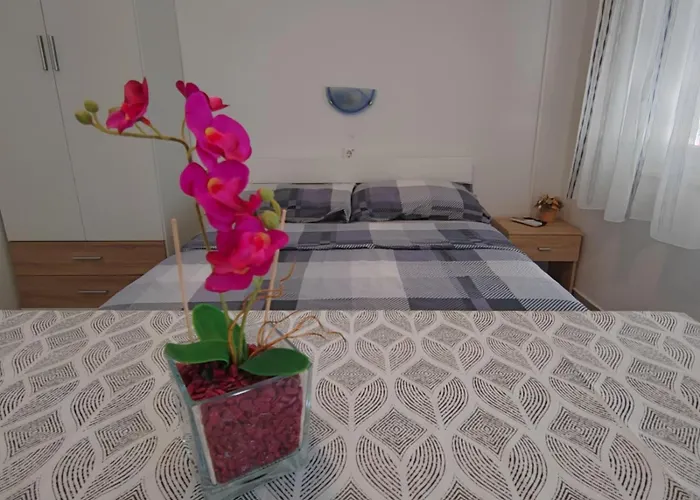 Apartments Alen